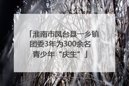淮南市凤台县一乡镇团委3年为300余名青少年“庆生”