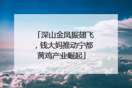 深山金凤振翅飞，钱大妈推动宁都黄鸡产业崛起