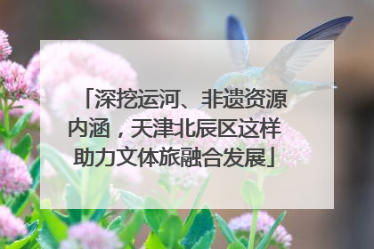深挖运河、非遗资源内涵，天津北辰区这样助力文体旅融合发展