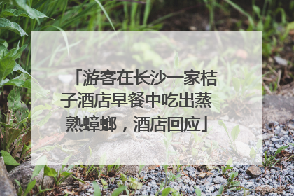 游客在长沙一家桔子酒店早餐中吃出蒸熟蟑螂，酒店回应