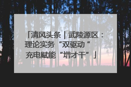 清风头条｜武陵源区：理论实务“双驱动 ” 充电赋能“增才干”