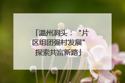 温州洞头：“片区组团强村发展”探索共富新路