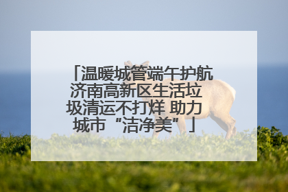温暖城管端午护航 济南高新区生活垃圾清运不打烊 助力城市“洁净美”