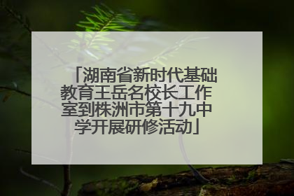 湖南省新时代基础教育王岳名校长工作室到株洲市第十九中学开展研修活动