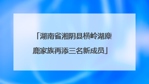 湖南省湘阴县横岭湖麋鹿家族再添三名新成员
