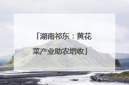 湖南祁东：黄花菜产业助农增收