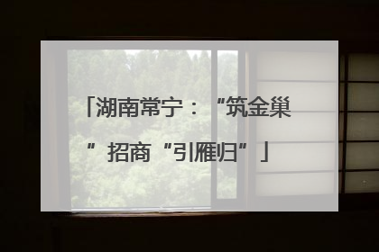 湖南常宁：“筑金巢”招商“引雁归”