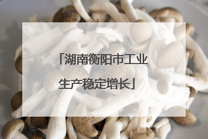 湖南衡阳市工业生产稳定增长