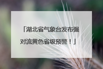 湖北省气象台发布强对流黄色省级预警！