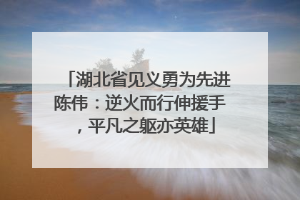 湖北省见义勇为先进陈伟：逆火而行伸援手，平凡之躯亦英雄