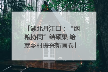 湖北丹江口：“烟粮协同”结硕果 绘就乡村振兴新画卷