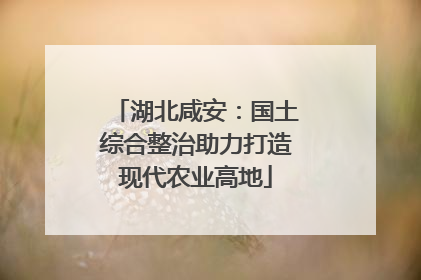 湖北咸安：国土综合整治助力打造现代农业高地