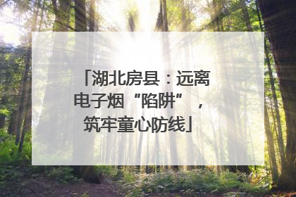 湖北房县：远离电子烟“陷阱”，筑牢童心防线