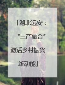 湖北远安：“三产融合”激活乡村振兴新动能