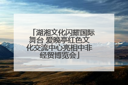湖湘文化闪耀国际舞台 爱晚亭红色文化交流中心亮相中非经贸博览会