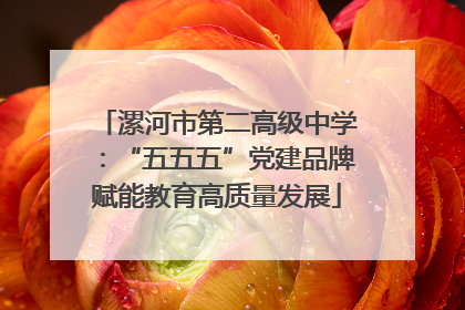 漯河市第二高级中学：“五五五”党建品牌赋能教育高质量发展