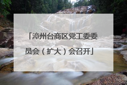 漳州台商区党工委委员会（扩大）会召开