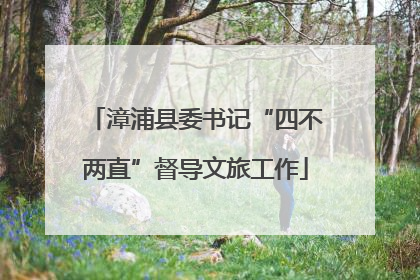 漳浦县委书记“四不两直”督导文旅工作