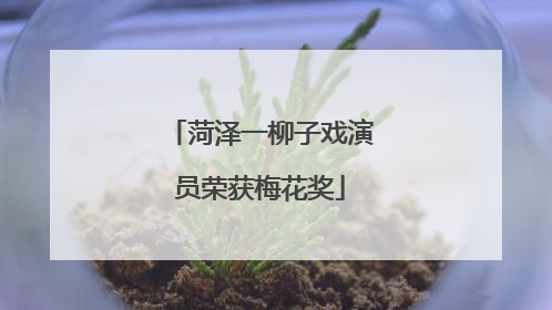 菏泽一柳子戏演员荣获梅花奖