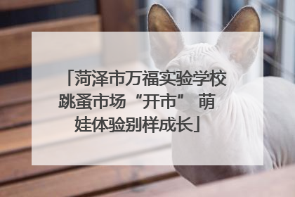 菏泽市万福实验学校跳蚤市场“开市” 萌娃体验别样成长