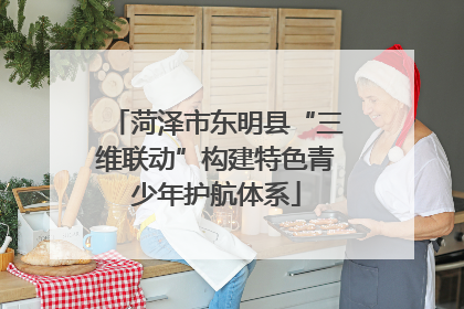 菏泽市东明县“三维联动”构建特色青少年护航体系