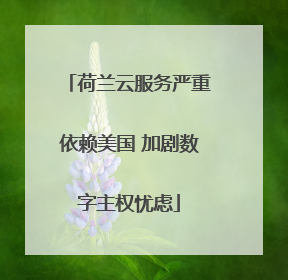 荷兰云服务严重依赖美国 加剧数字主权忧虑