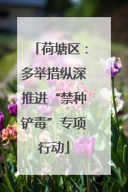 荷塘区：多举措纵深推进“禁种铲毒”专项行动