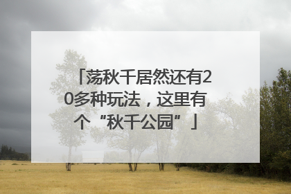 荡秋千居然还有20多种玩法，这里有个“秋千公园”