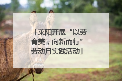 莱阳开展“以劳育美，向新而行”劳动月实践活动