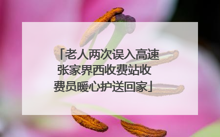 老人两次误入高速 张家界西收费站收费员暖心护送回家