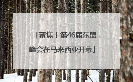 聚焦丨第46届东盟峰会在马来西亚开幕