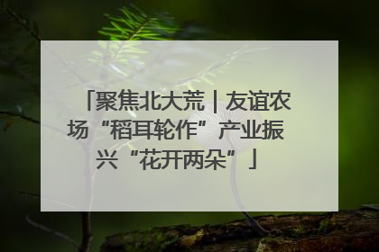 聚焦北大荒｜友谊农场“稻耳轮作”产业振兴“花开两朵”