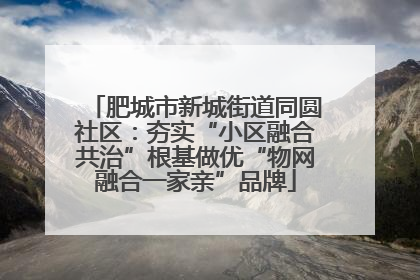 肥城市新城街道同圆社区：夯实“小区融合共治”根基做优“物网融合一家亲”品牌