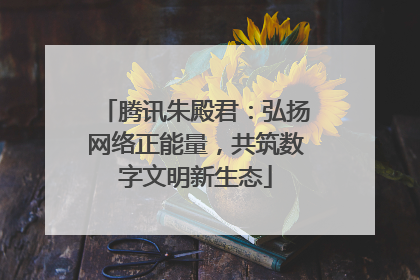腾讯朱殿君：弘扬网络正能量，共筑数字文明新生态