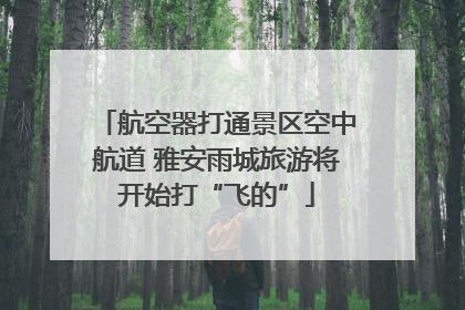 航空器打通景区空中航道 雅安雨城旅游将开始打“飞的”