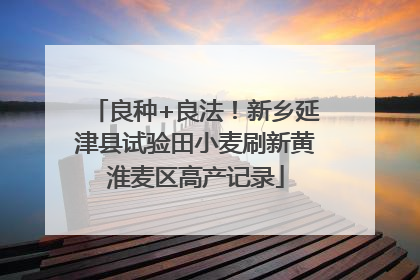 良种+良法！新乡延津县试验田小麦刷新黄淮麦区高产记录
