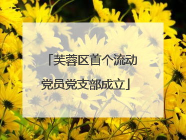 芙蓉区首个流动党员党支部成立