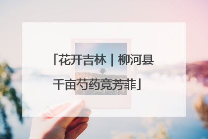 花开吉林｜柳河县千亩芍药竞芳菲