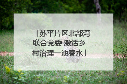 苏平片区北部湾联合党委 激活乡村治理一池春水
