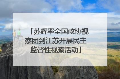 苏辉率全国政协视察团到江苏开展民主监督性视察活动