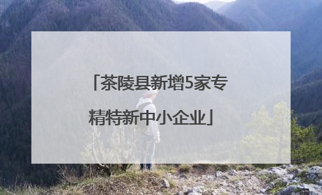 茶陵县新增5家专精特新中小企业