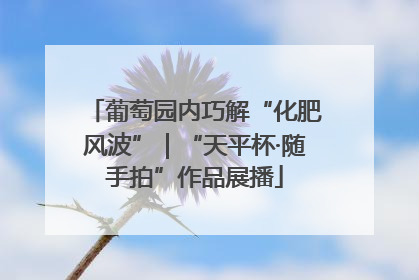 葡萄园内巧解“化肥风波”｜“天平杯·随手拍”作品展播