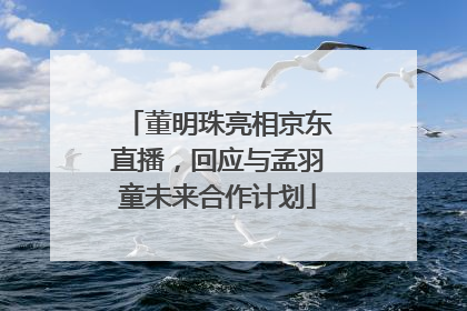 董明珠亮相京东直播，回应与孟羽童未来合作计划