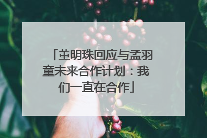 董明珠回应与孟羽童未来合作计划：我们一直在合作