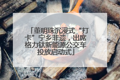 董明珠沉浸式“打卡”宁乡非遗，出席格力钛新能源公交车投放启动式