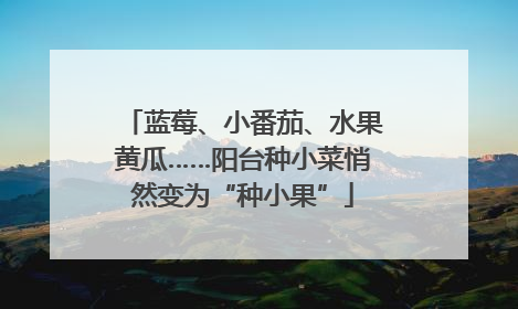 蓝莓、小番茄、水果黄瓜……阳台种小菜悄然变为“种小果”