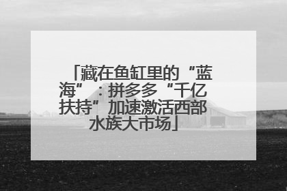 藏在鱼缸里的“蓝海”：拼多多“千亿扶持”加速激活西部水族大市场