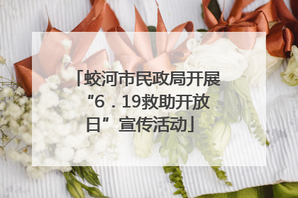 蛟河市民政局开展“6．19救助开放日”宣传活动