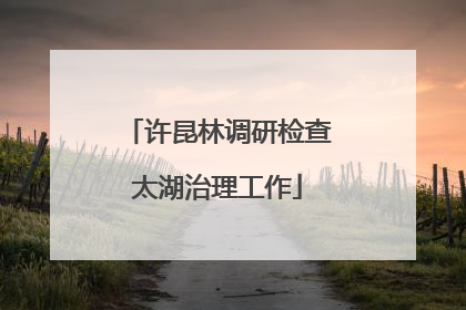 许昆林调研检查太湖治理工作