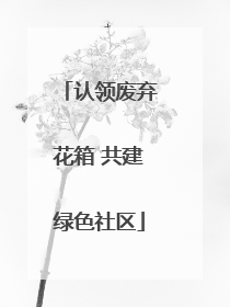 认领废弃花箱 共建绿色社区